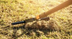 How to Make a Homemade Lawn Dethatcher