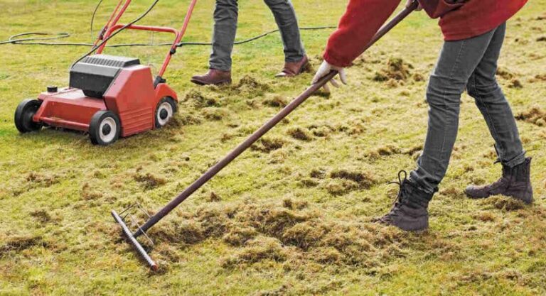 DIY Lawn Dethatcher, How to Make Your Own Lawn Dethatcher-Featured