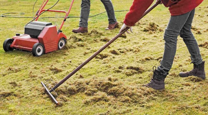 DIY Lawn Dethatcher, How to Make Your Own Lawn Dethatcher-Featured